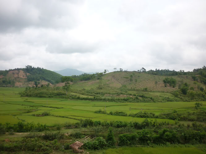 P1300634.jpg