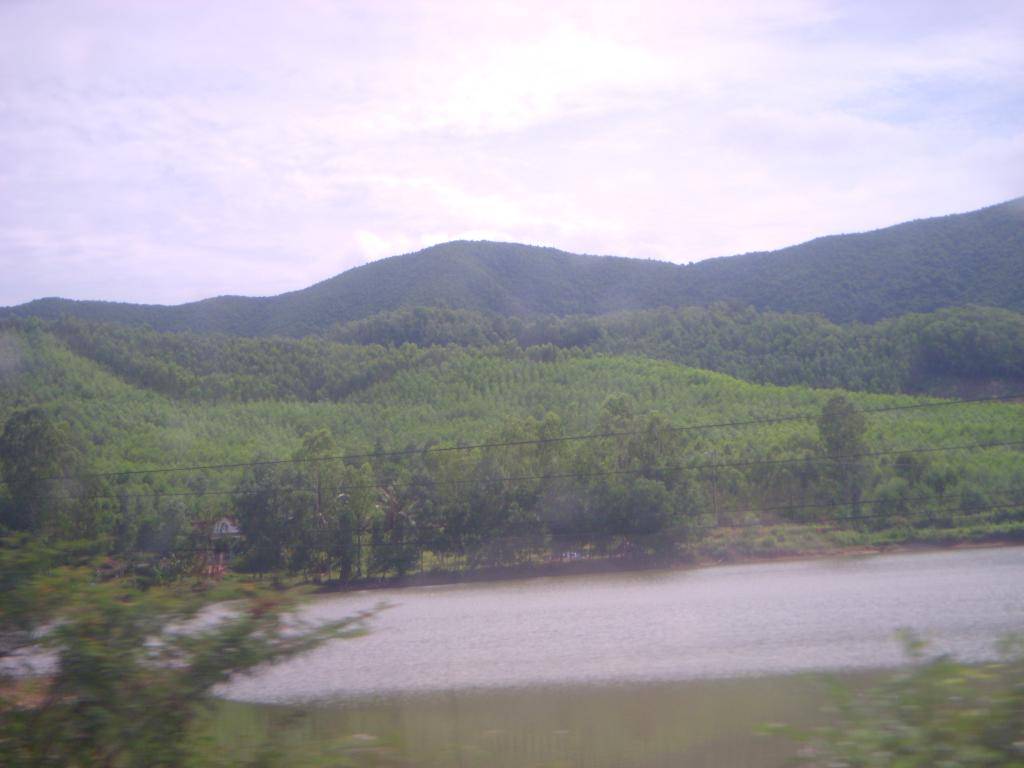 DSCN4173_zps2bc6b046.jpg