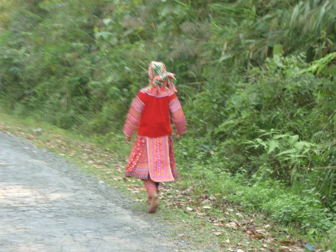 P1070421.jpg