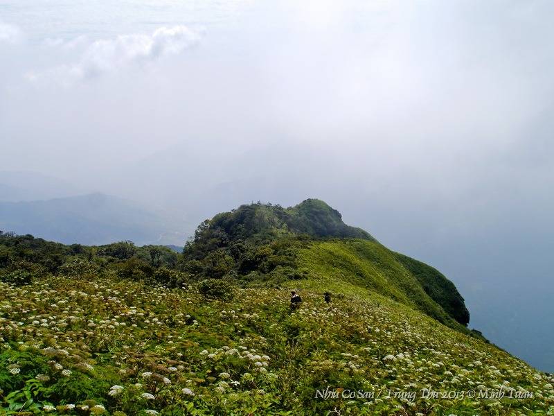 P1110146_resize.jpg
