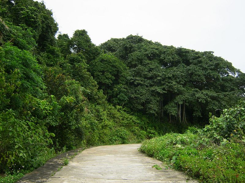 IMH_069.jpg