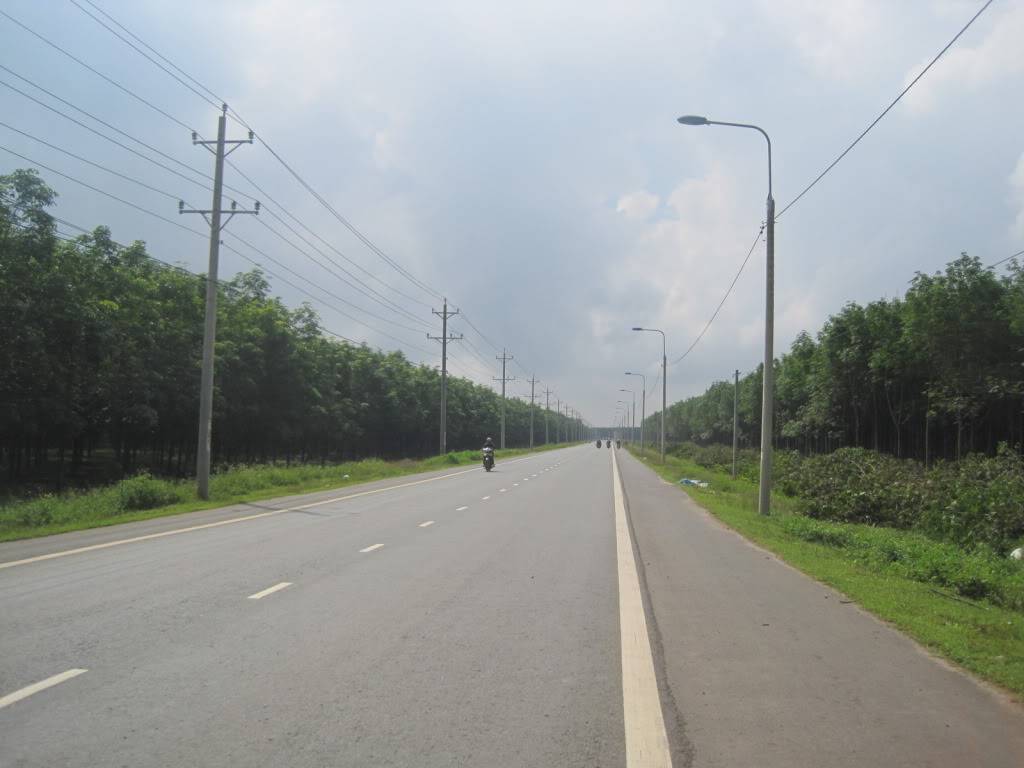 QL55QL28067.jpg
