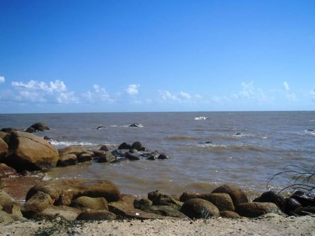 P1010224.jpg