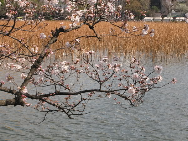 IMG_2472_resize.jpg