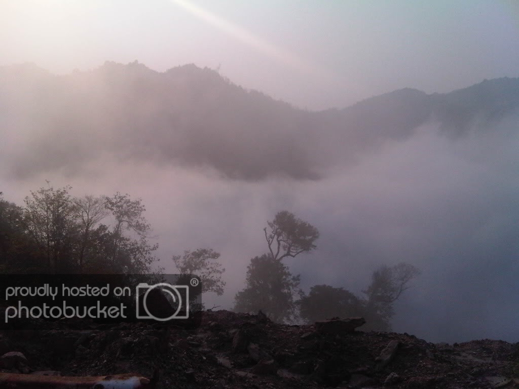 IMG00410-20120303-1624.jpg