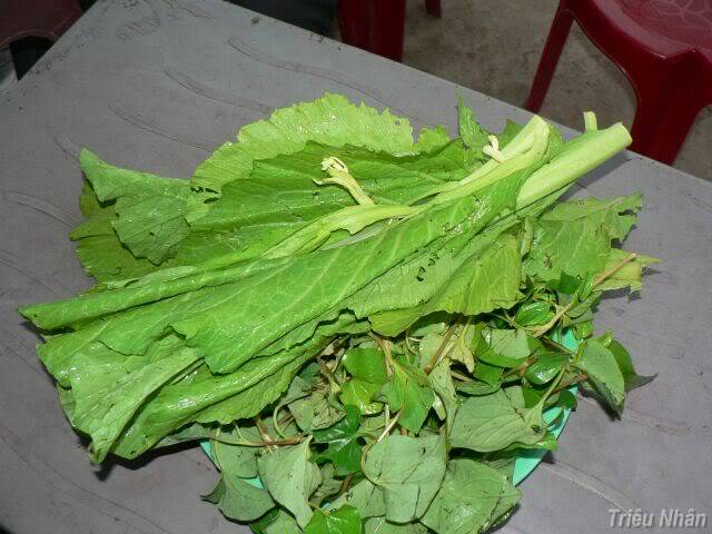 P1150446.jpg