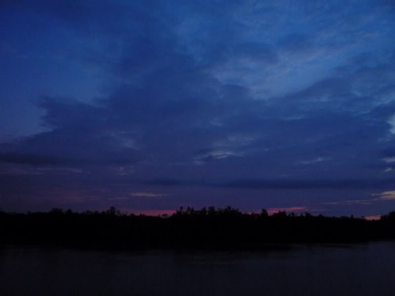 P1030425800x600.jpg