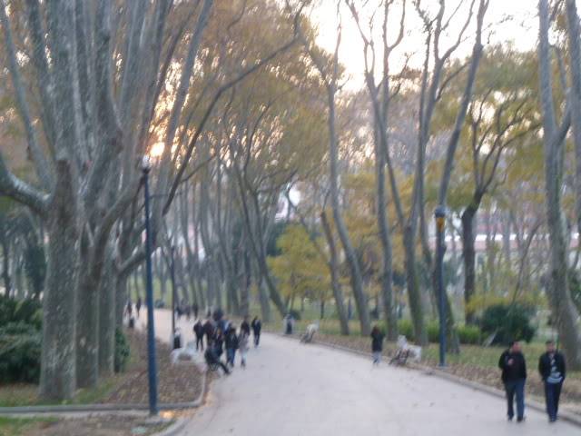 L1020695.jpg