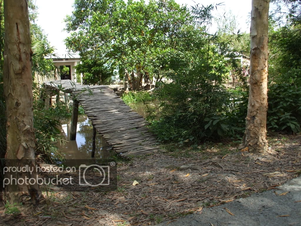 DSCF3920.jpg