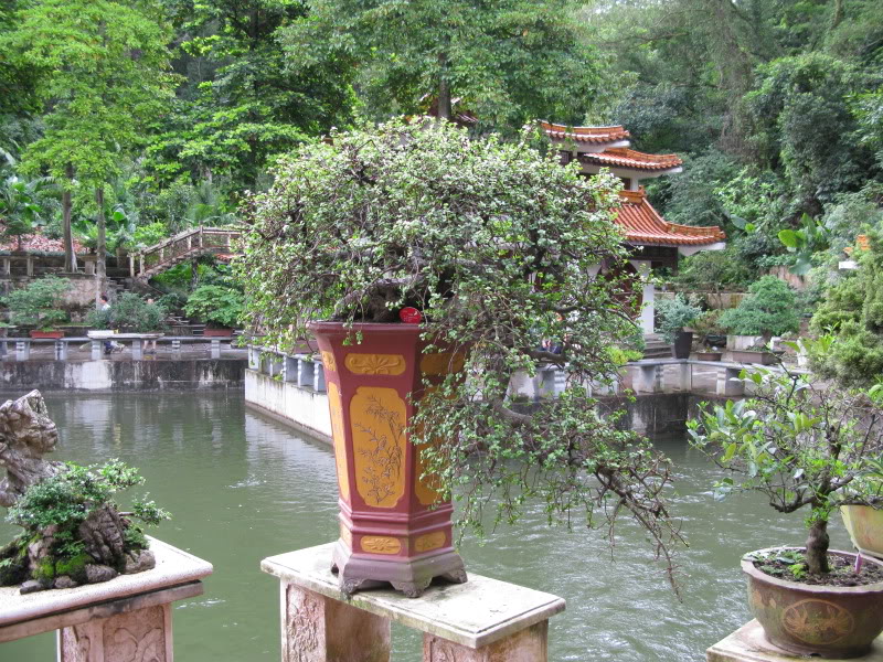 IMG_9695.jpg