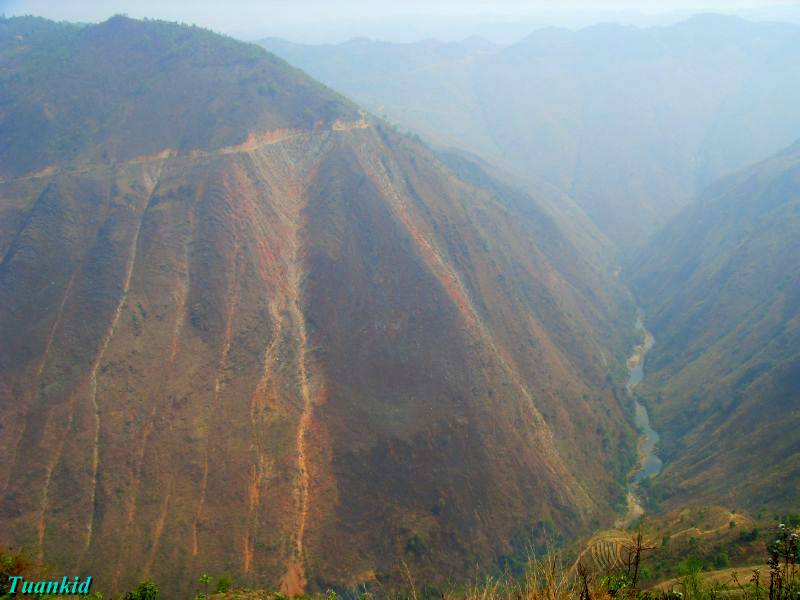 SDC16432.jpg