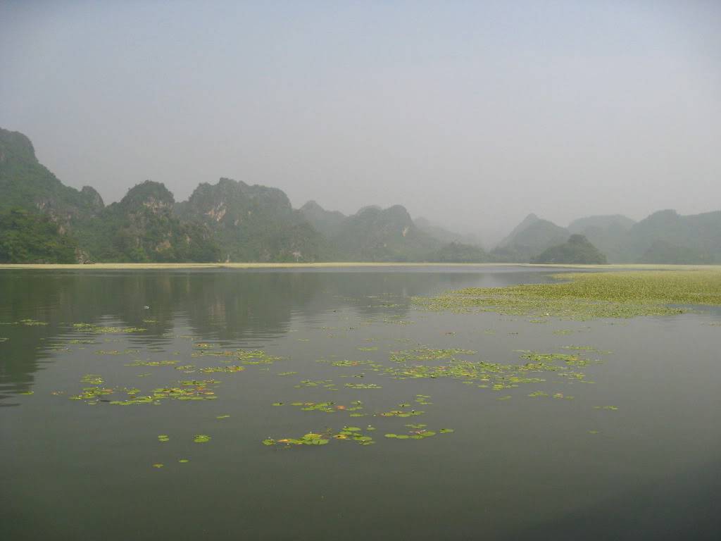 IMG_2514.jpg