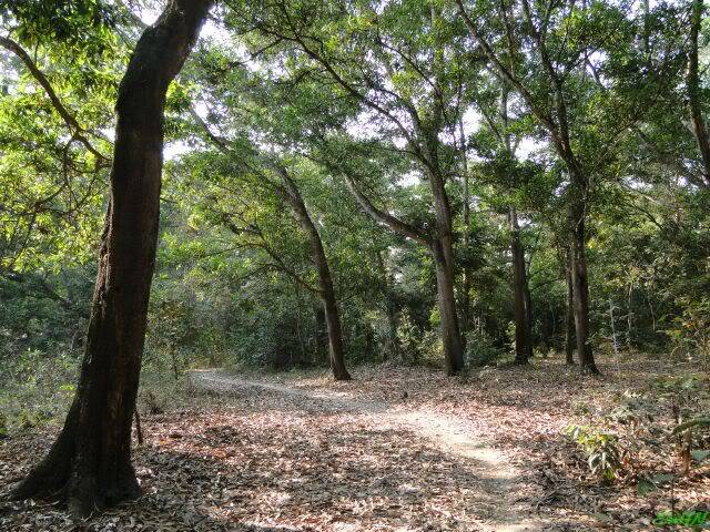 DSC00034.jpg