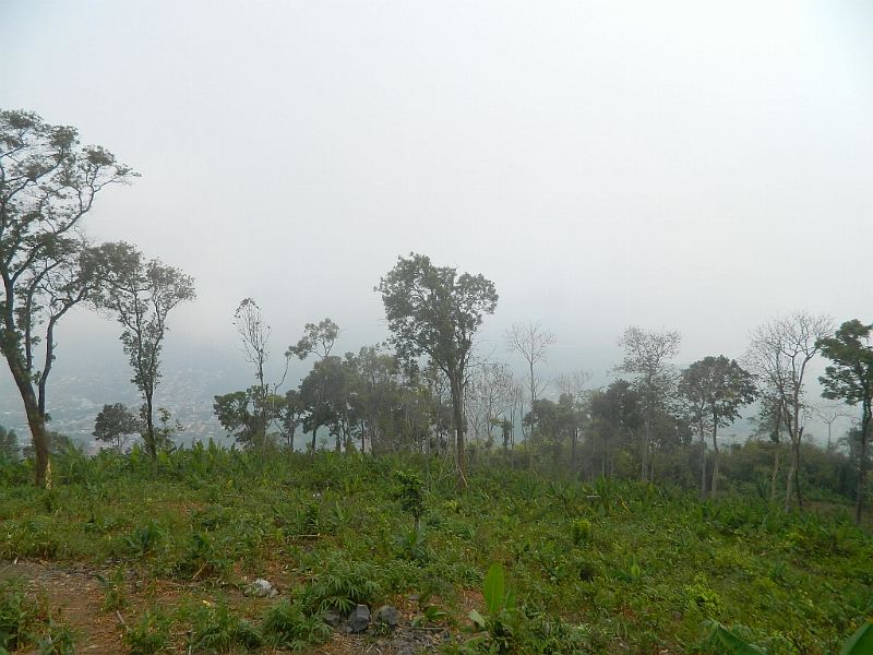 DSCN3683.jpg