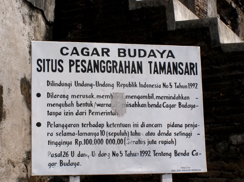 P7310190.jpg