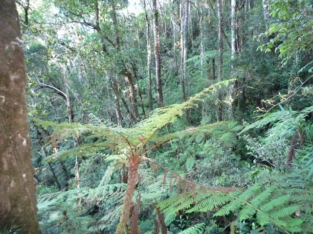 P1100352.JPG