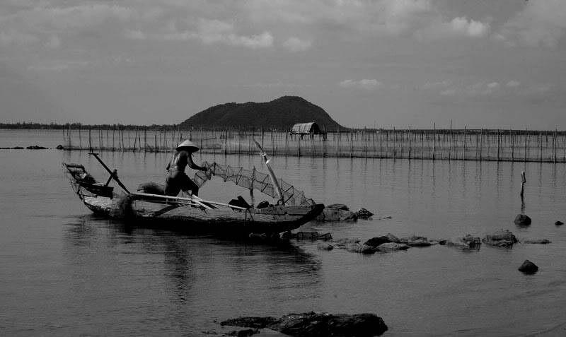 DSC_3553-Copy.jpg