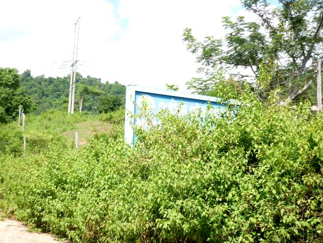 P1370746.jpg