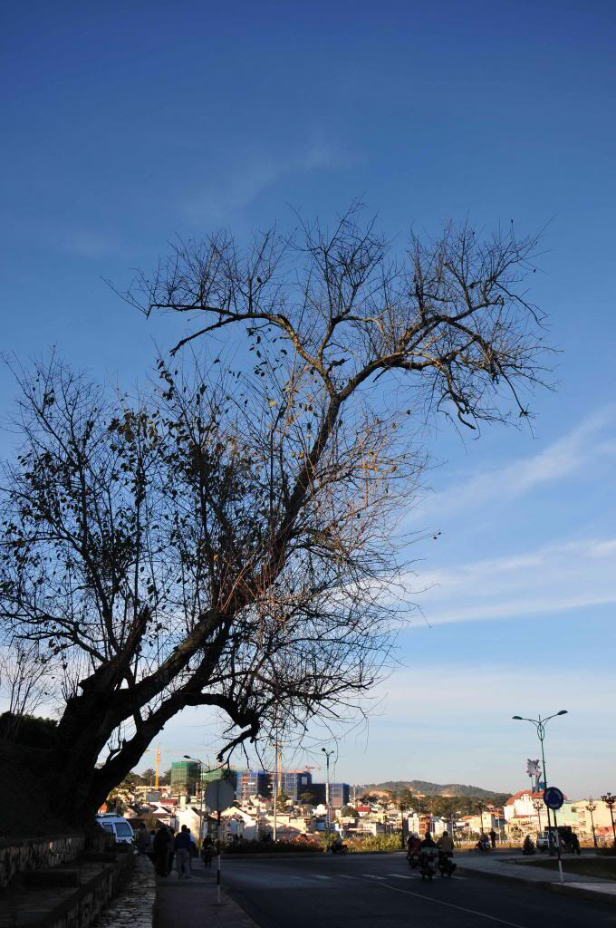 DSC_7176_zps3836ed57.jpg