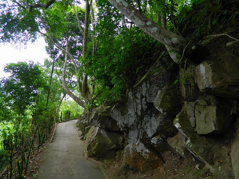 DSCN1860.jpg