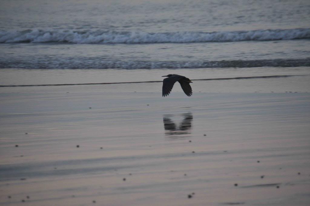 DSC_1982_zps596ef126.jpg