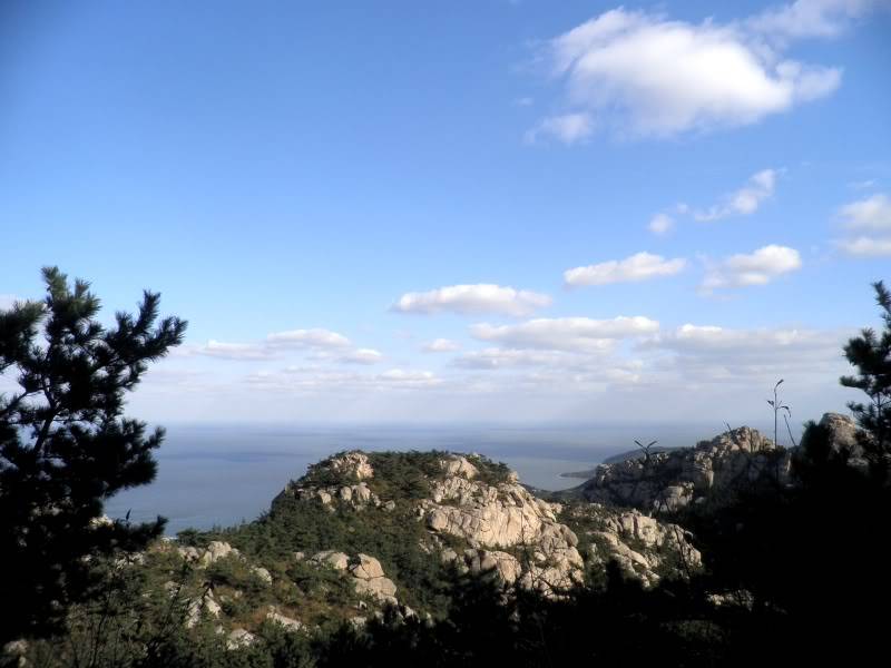PA260219.jpg