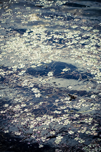 6393302721_e615edde08.jpg