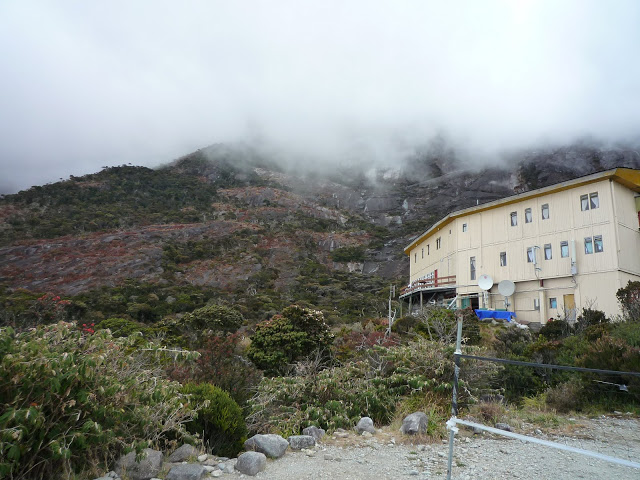 P1100445.JPG
