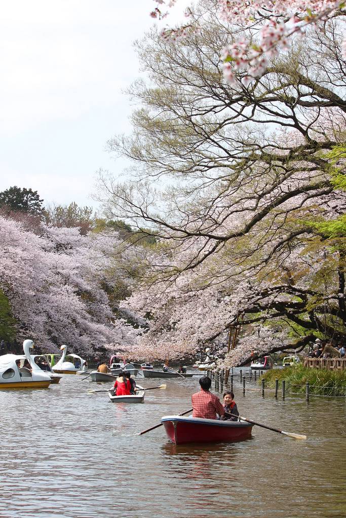 Inokashirapark.jpg