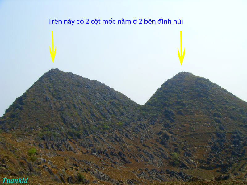SDC16418.jpg