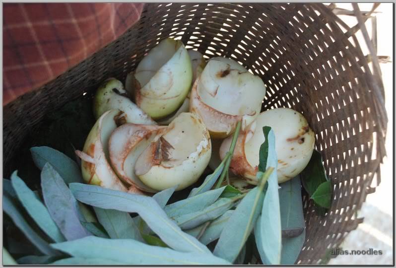 Lao_2009_6_0541.jpg