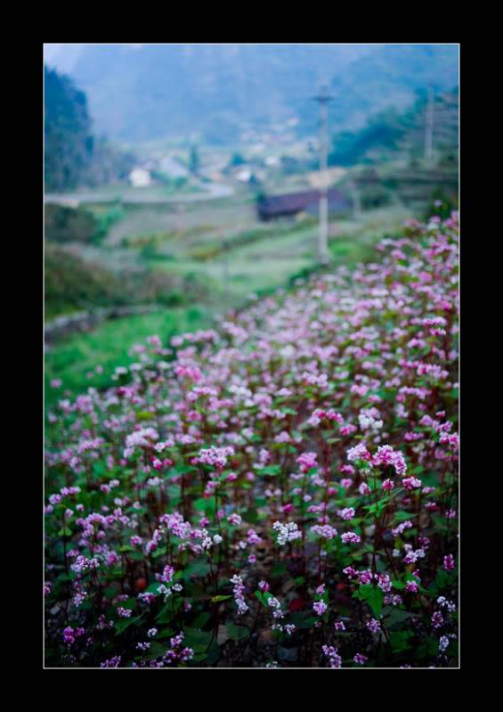 DSC_3057_framed.jpg