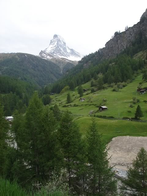 DSC09798.jpg