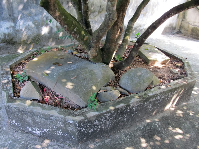 TayYenTu1010484.jpg