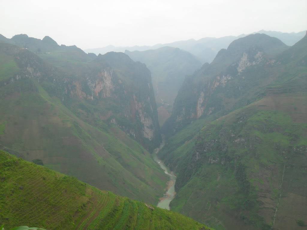 SDC15165.jpg
