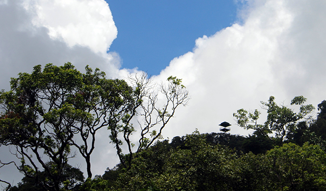 dinh-u-bo-letravel-6.jpg