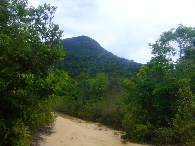 sDSCF2456.jpg