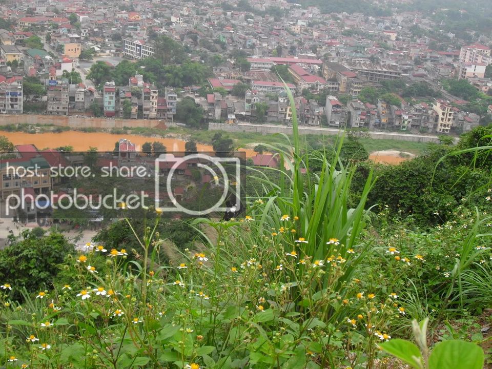 SDC15626.jpg
