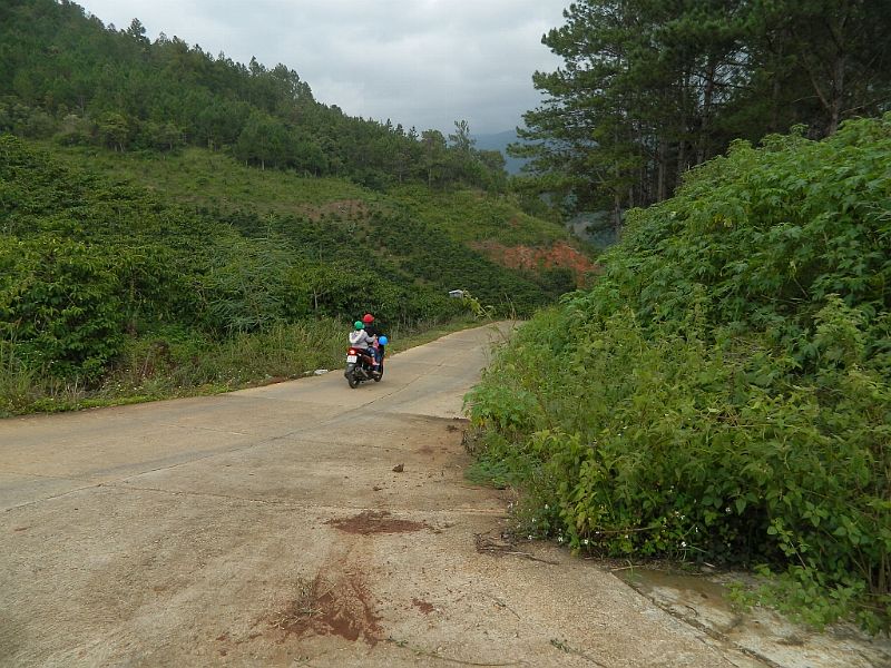 DSCN1714.jpg