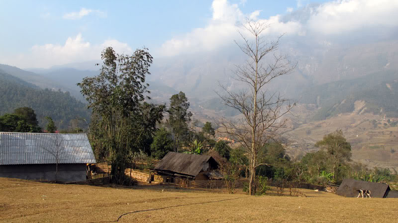 HongNgai2011221.jpg