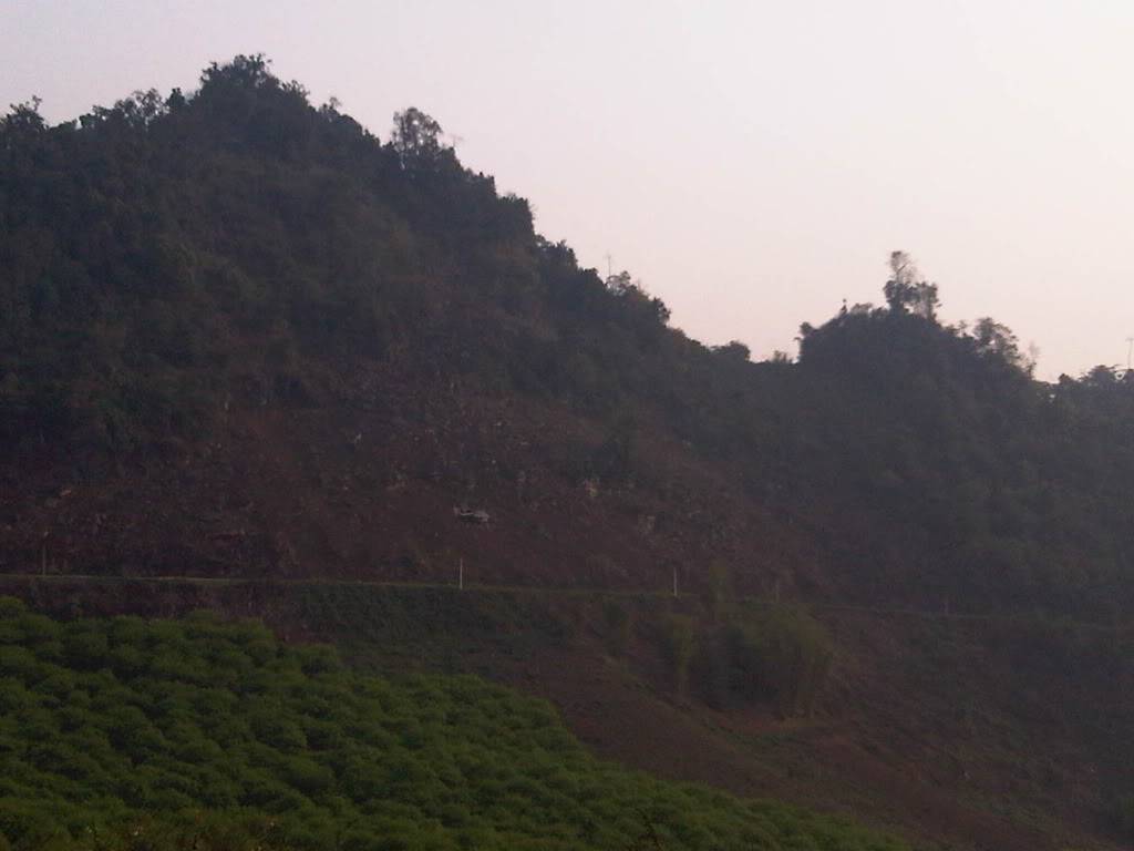 IMG00530-20120305-0724.jpg