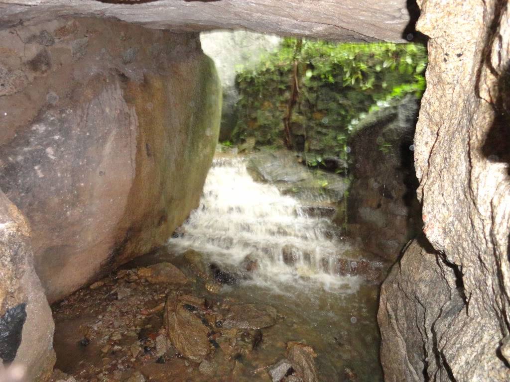 DSC00505.jpg