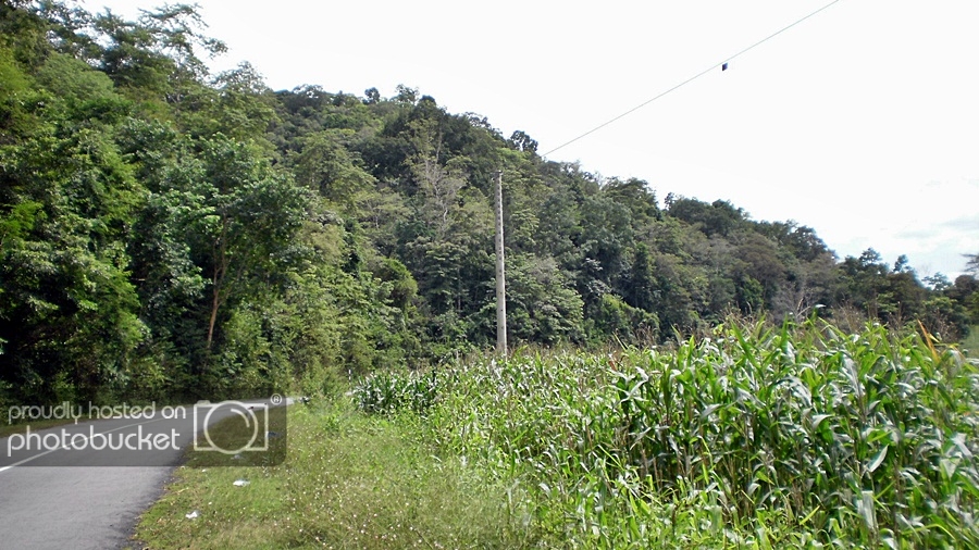 P1010215_zps9ad06050.jpg