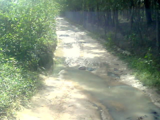 DSC01046.JPG