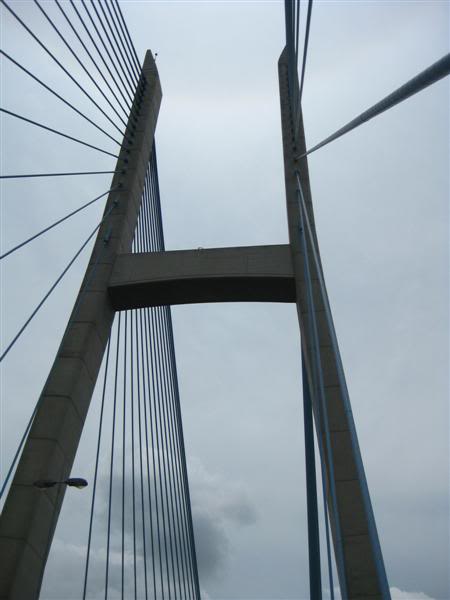 IMG_6714Medium.jpg