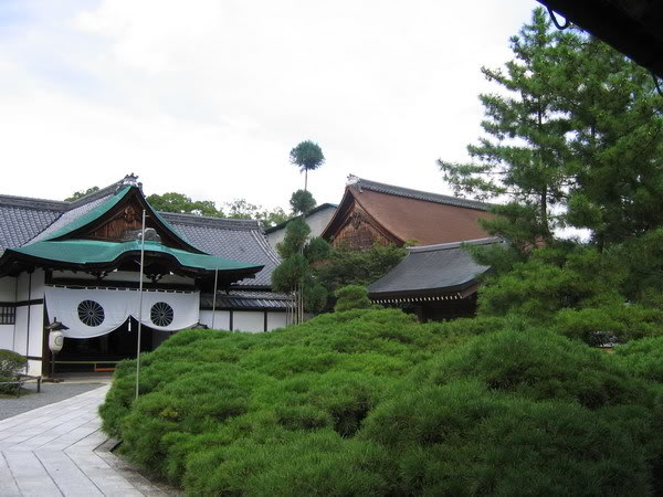 IMG_1272_resize.jpg