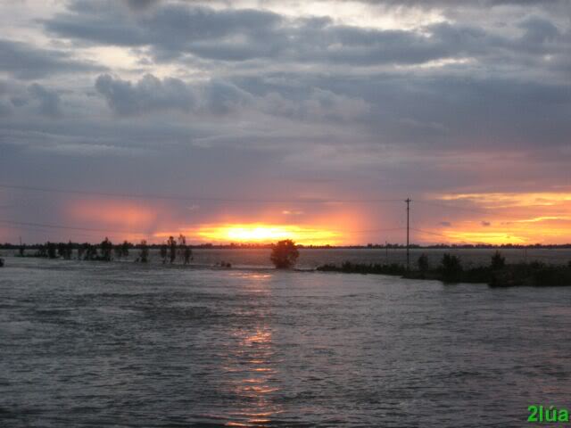 IMG_1501.jpg