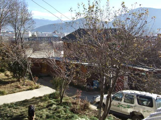 DSCF1717.jpg