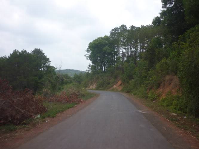 P1260487.jpg
