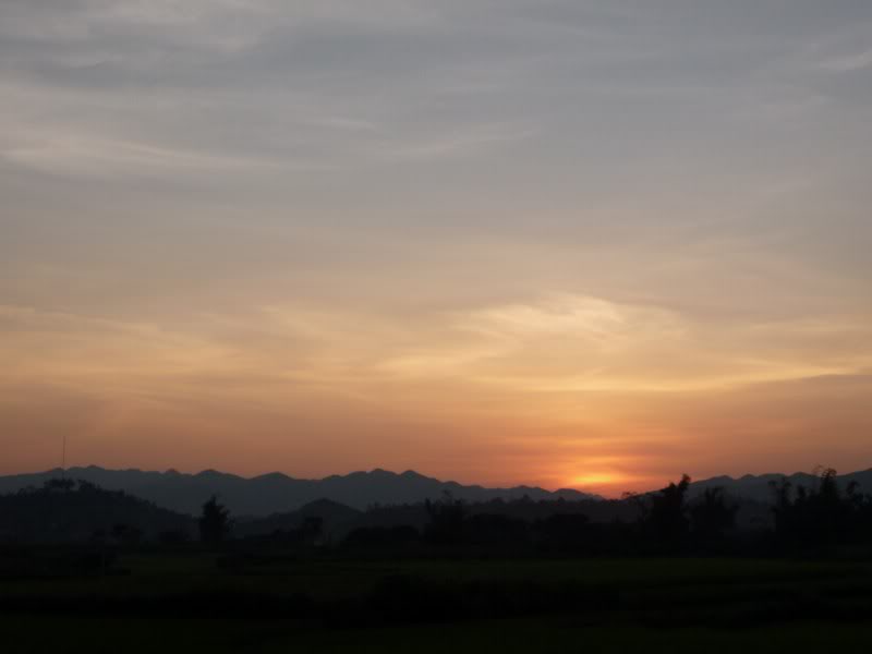 P1020113800x600.jpg